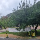 꽃나라 | 부산 정관 쭈꾸미맛집 병산골 한식 꽃나라