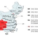 부두 여행사