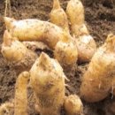 동천약품 이미지