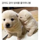 없음 이미지