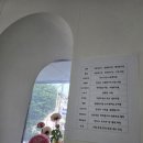 꽃들도 - 남양주시 두물로27번길 38-9 | 아주대 꽃집 미플레르 싱그러운 꽃들에 반한 후기