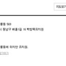 백향목교육