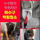 항구동식당 이미지