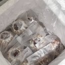 싱포밀 이미지
