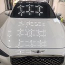 카멜레온 디테일 이미지