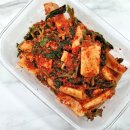 씨제이올리브영(주) 김해장유대청점 | 주말에 시부모님이랑 1일 2카페 가는 30대 맞벌이 부부 일상 시댁점심식사 까밀리아 스타벅스 소금빵...