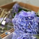 뚜레쥬르소래포구역점 이미지