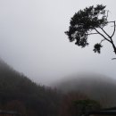 은이성지 이미지