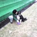 농고목장 이미지