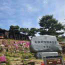 한번가보자란이산곰장어 | [홍성] 충남의 금강산인 용봉산후기, 등린이 고양이산 오르기 (feat.동네산오르기)