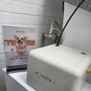 멍테일즈 이미지