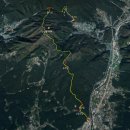 영천초교 이미지