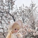 세나세라 이미지