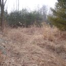 강림면328 이미지