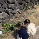 수산가옥 이미지