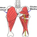 몬스터 짐 이미지