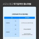 주정차단속-124 네이버블로그
