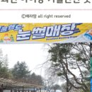 성남종합운동장 이미지