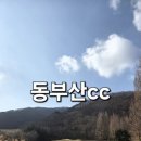동부산 CC | 겨울에도 관리 상태 매우 좋은 동부산cc 겨울 라운딩 후기