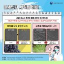 올바른과일