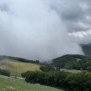 아로목장 이미지