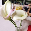 화림농장 이미지