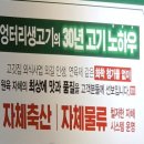 엉터리 무한대패 포항해도점