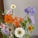 자연의 향기 | [공지] 부산 서구 대신동 꽃집 부민동 꽃집 [플레지르플라워] 꽃다발일기-6 / 부산꽃배달 / 결혼기념일...