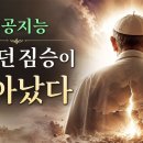 왜 세계 AI 전문가들은 교황을 주목하는가? 이미지