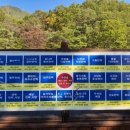 봉남민박 이미지