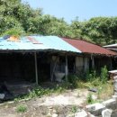 금당면-3 이미지