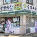 공항 동물병원 | 강서구 방화동 동물병원 공항동물병원 진료시간 접근성 이용후기