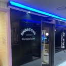 신나쏭코인노래연습장 이미지