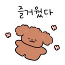 룩스안경원 네이버블로그