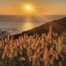 수크령에 덮인 개머리언덕에서 섬들 조망 이미지