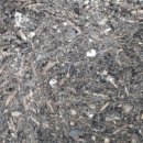 철없는펜션 이미지