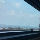 착한전복 | 🌊 제주 세화 근처 명진전복 솔직 후기 – 전복죽은 역시 바당길이죠!