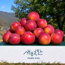 자두자두