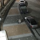 아이엠덕어린이수영장 이미지