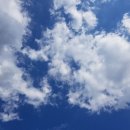 잠이솔솔 이미지