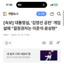 [속보] 꼬리자르는 대통령실, &#39;김영선 공천&#39; 개입설에 &#34;결정권자는 이준석·윤상현&#34; 이미지