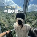 말바우중앙센터 | 속초여행 2박3일 코스 커플 여행 _ 장사항 스노쿨부터 항아리물회 등 꽉찬 일정 경비