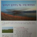 숲앤휴