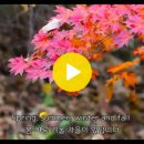Spring summer winter and fall- Aphrodite`s Child 이미지