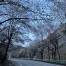 상원골민박 이미지