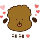 영희랑바둑이랑애견미용실 이미지