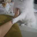 김태주선산곱창(지산점) 이미지