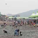 무안-1호 한국일보