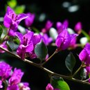 세보한의원 이미지