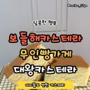 대왕 | 택배 빵 무안목포 빵 보들해카스테라 대왕카스테라 후기